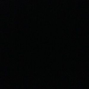 Meet your Posher, Bobby